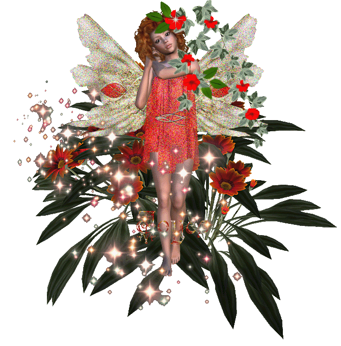 l'ange  29