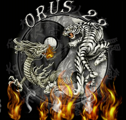 le  dragon  et  le  tigre